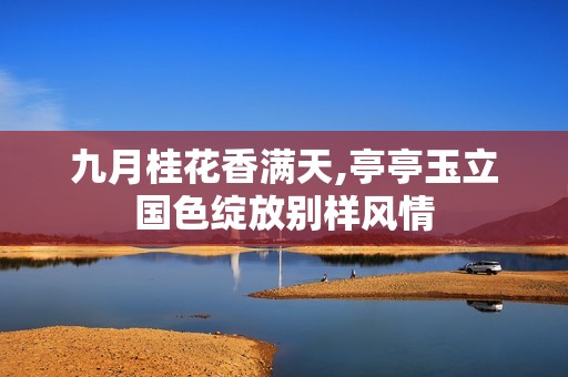 九月桂花香满天,亭亭玉立国色绽放别样风情