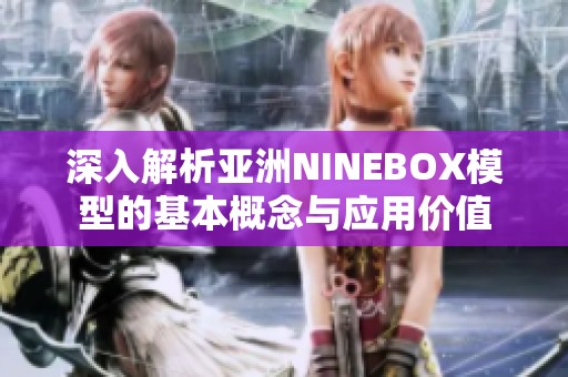 深入解析亚洲NINEBOX模型的基本概念与应用价值
