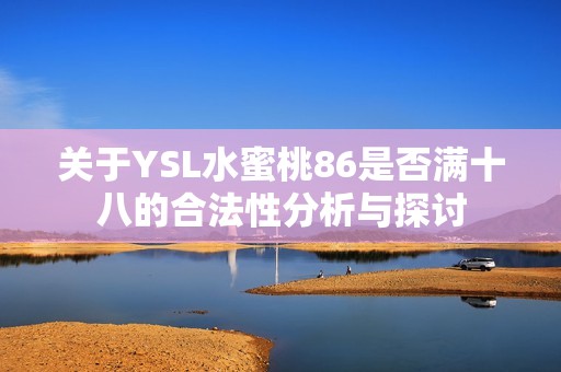 关于YSL水蜜桃86是否满十八的合法性分析与探讨