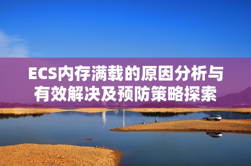 ECS内存满载的原因分析与有效解决及预防策略探索