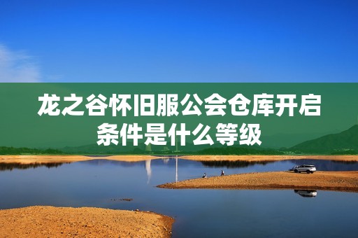 龙之谷怀旧服公会仓库开启条件是什么等级
